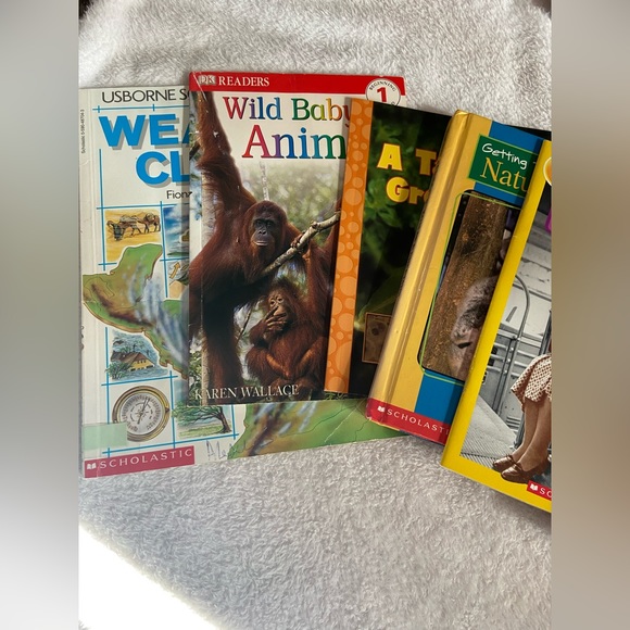 Educational book bundle- non fiction -Scholastic - Picture 2 of 14